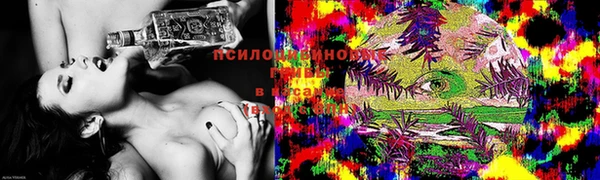 стафф Волосово