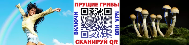 mega ССЫЛКА  Заринск  Псилоцибиновые грибы Psilocybine cubensis  где купить наркотик 